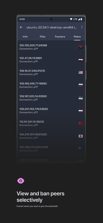 qBittorrent Manager screenshot