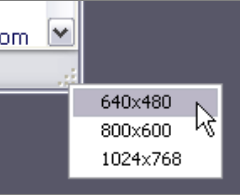 Layout Inspector