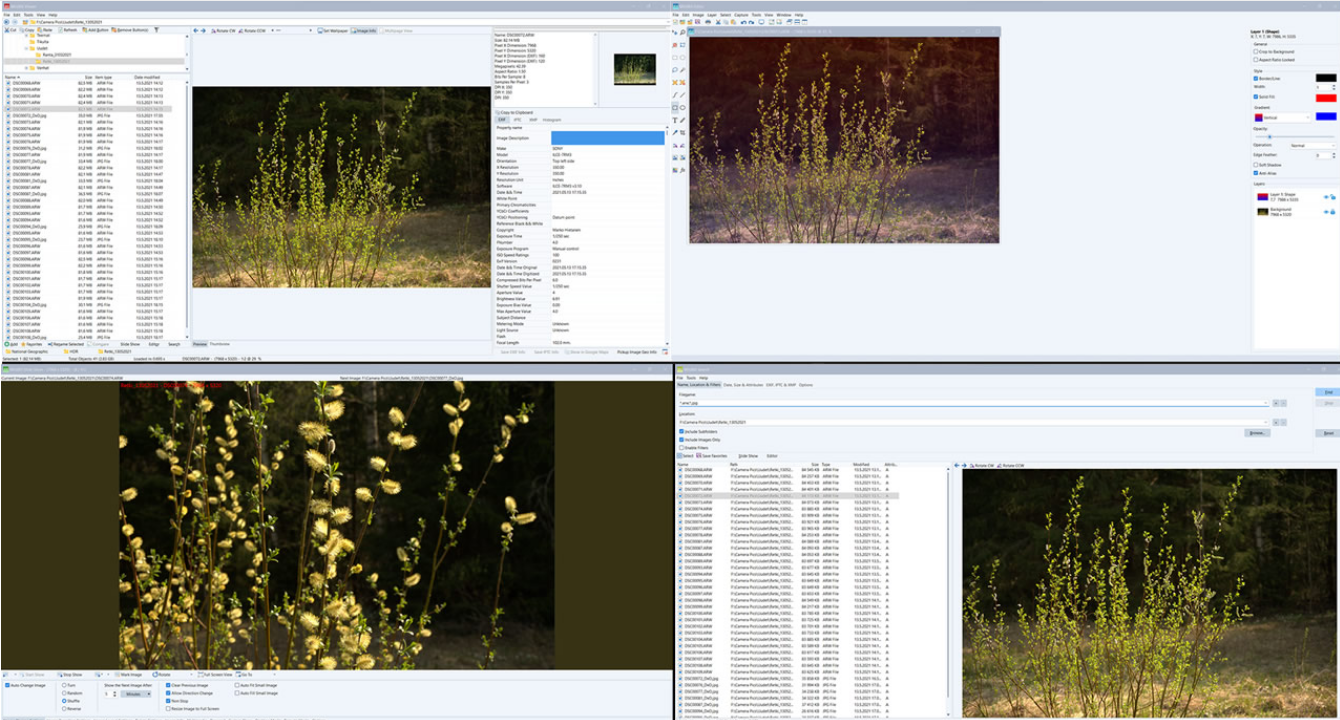 WildBit Viewer screenshot