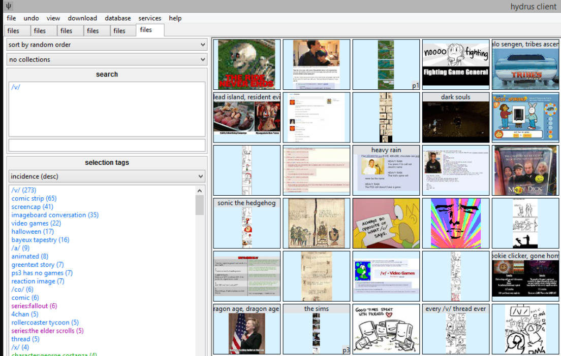 Hydrus Network screenshot