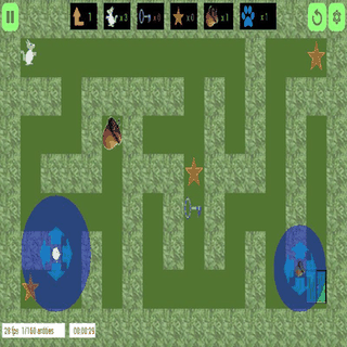 The Squirrel's Maze 2D screenshot