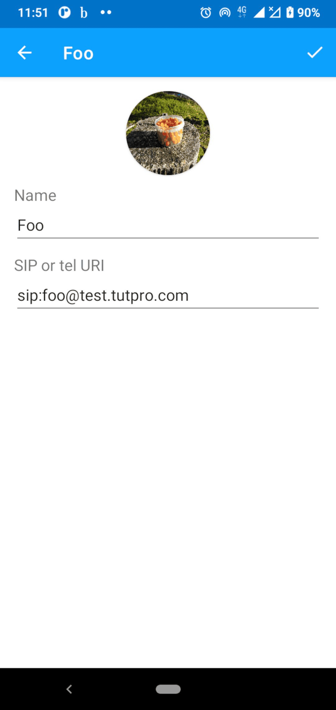 baresip screenshot