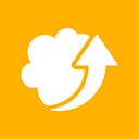 Filester