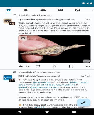 Pachli for Mastodon screenshot