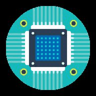 Microchip