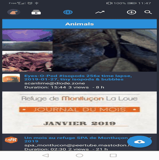 Fedilab screenshot
