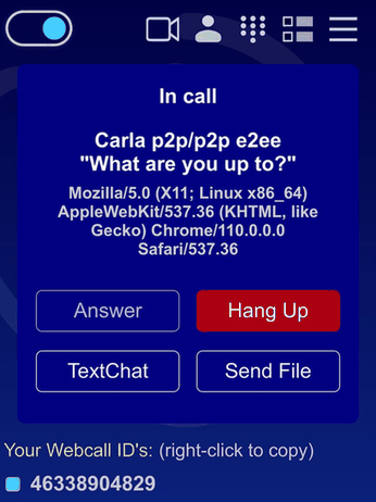 WebCall screenshot