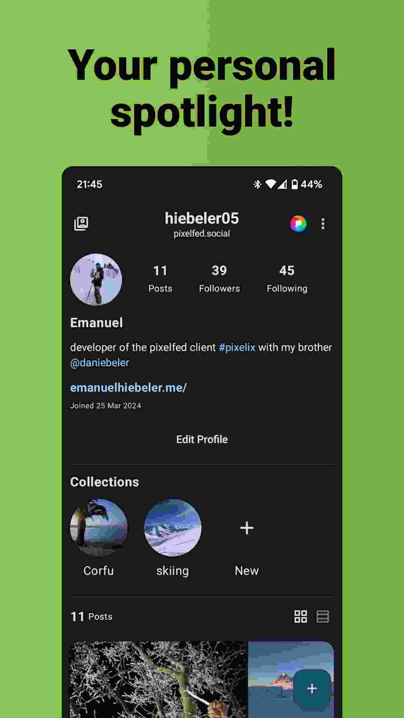 Pixelix screenshot