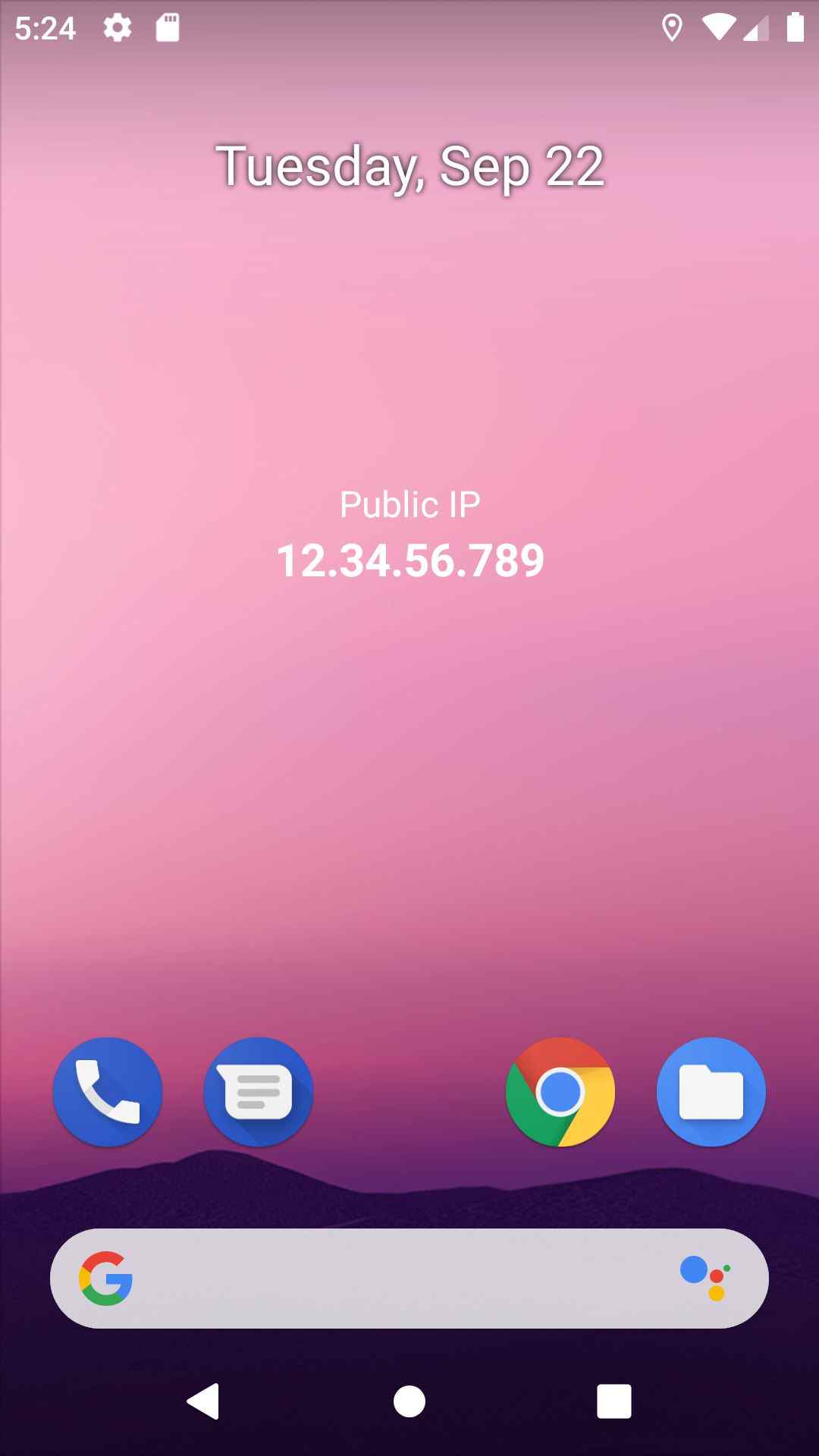 Public IP screenshot