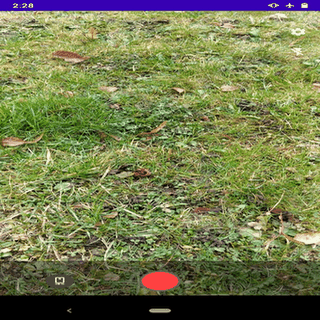 Cryptocam screenshot